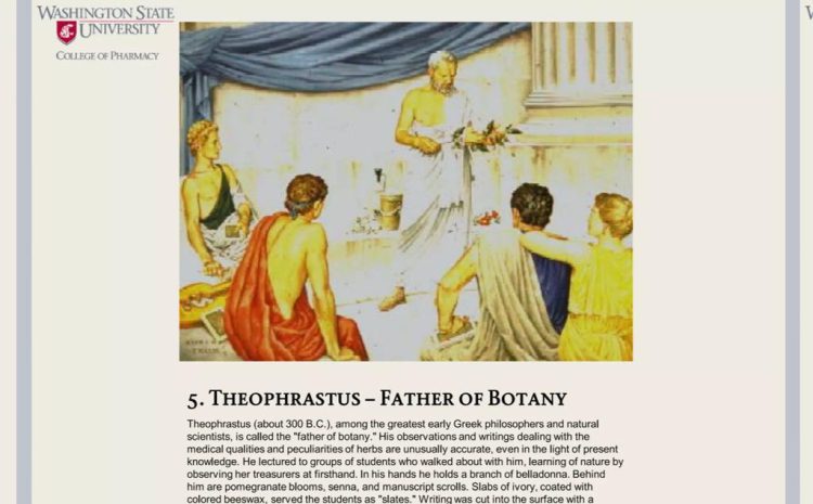  4. Theophrastus – Botaniğin Babası