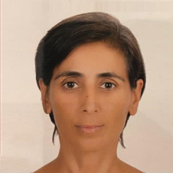 Prof. Dr. Gül Özhan