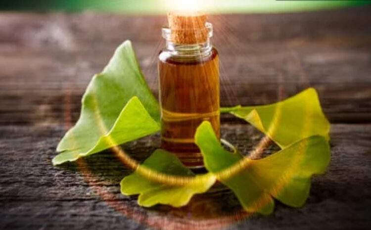  Doğadan Gelen İlaçlar: Ginkgo biloba