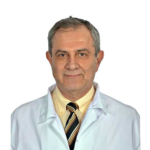 Dr. Öğr. Üy. İlker Gelişen