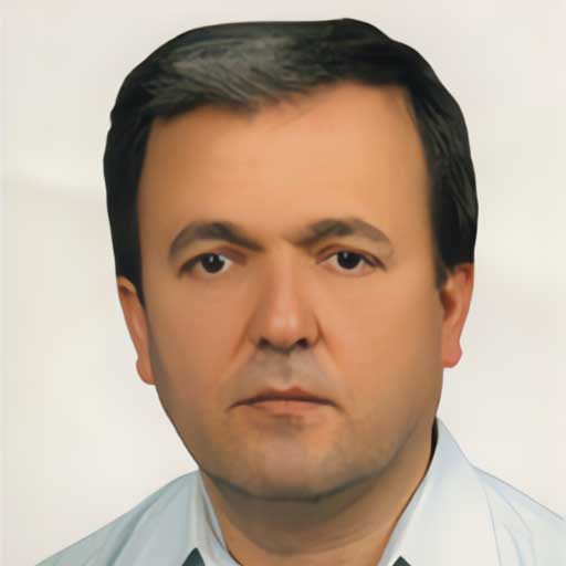 Öğr. Gör. Dr. Mehmet Ali Ege