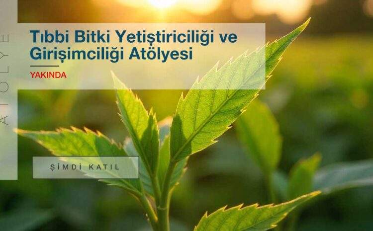 Tıbbi Bitki Yetiştiriciliği ve Girişimciliği Atölyesi