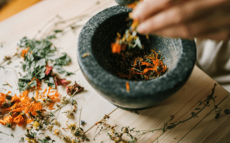 FitoFokus: Tıbbi ve Aromatik Bitkilerde “Sürdürülebilirlik Meselesi”